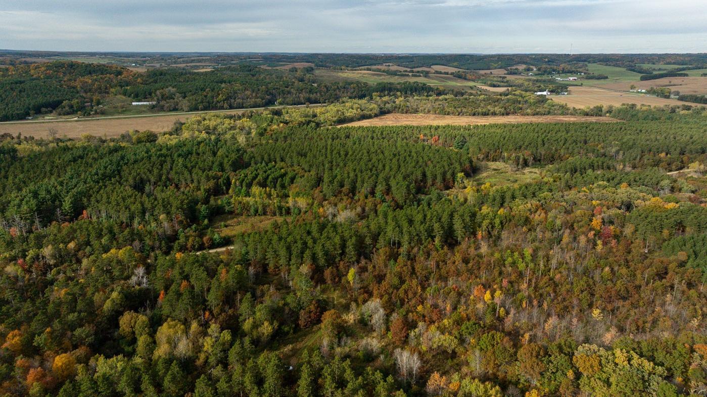 DJI_20261008160524_0521_D.jpg