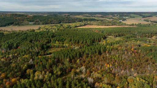 TBD E Prairie Road, Osseo, WI 54758
