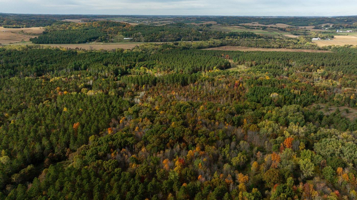 DJI_20261008160439_0518_D.jpg