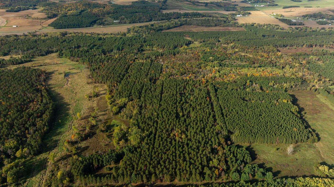 DJI_20261008160231_0511_D.jpg