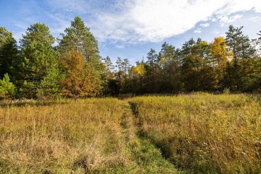 TBD E Prairie Road, Osseo, WI 54758