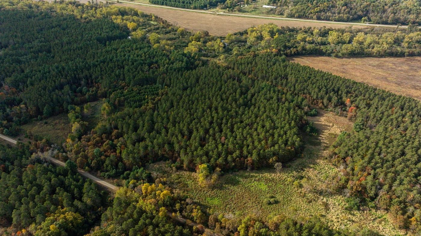 DJI_20261008155703_0500_D.jpg