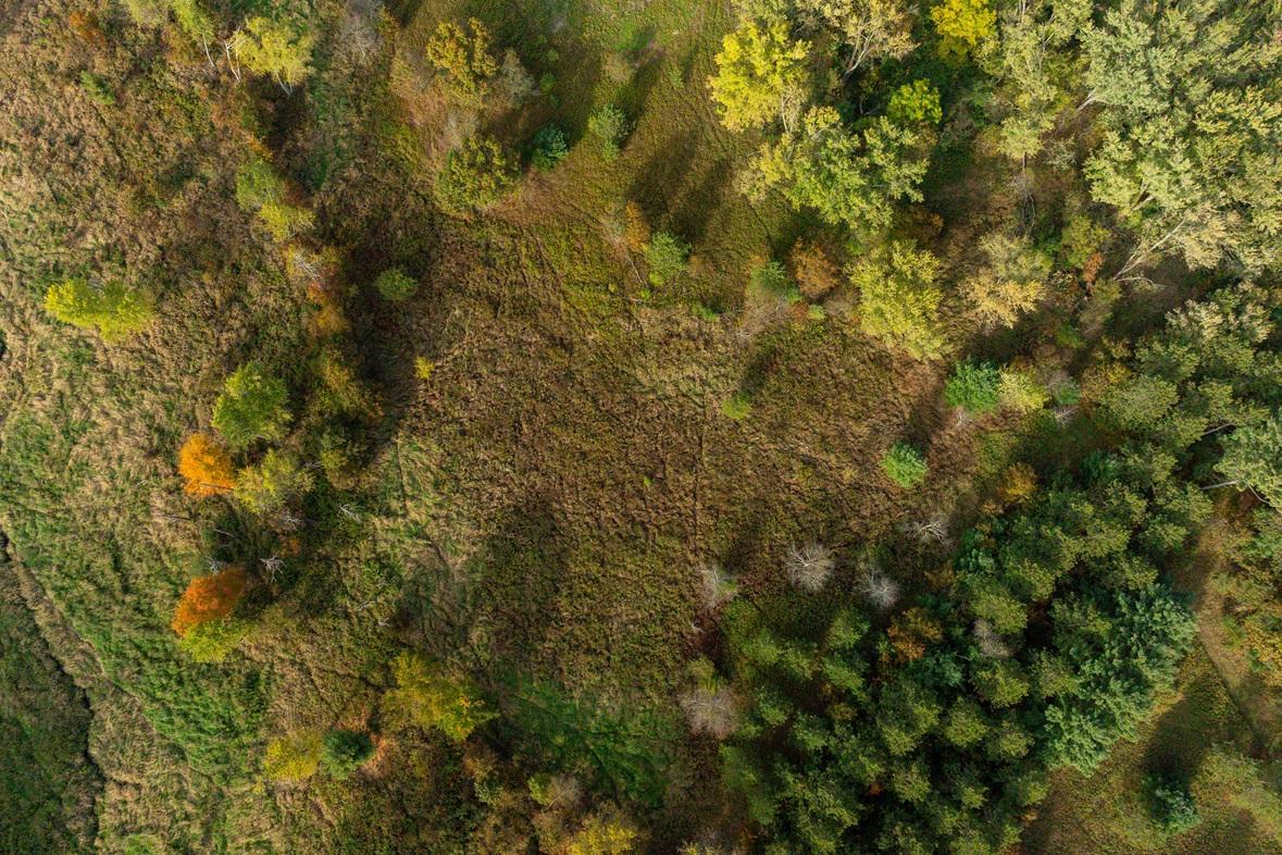 DJI_20261008160349_0516_D.jpg