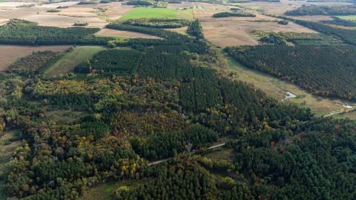 TBD E Prairie Road, Osseo, WI 54758