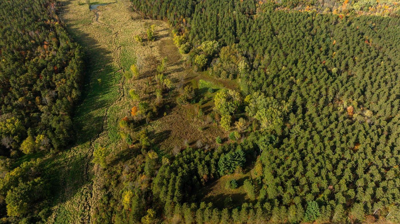 DJI_20261008160318_0514_D.jpg