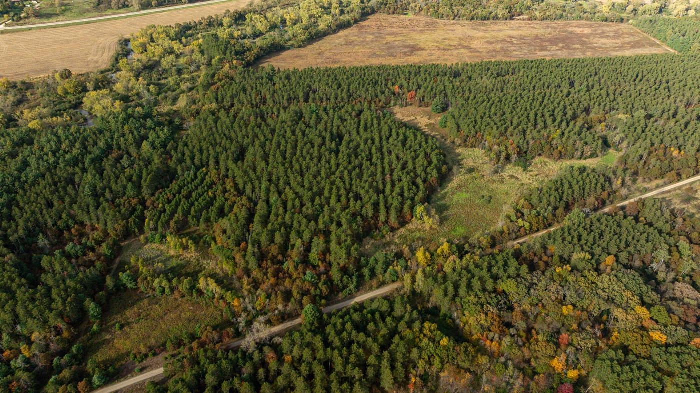 DJI_20261008155628_0499_D.jpg