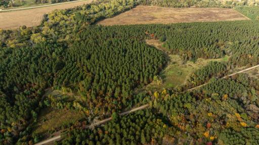 TBD E Prairie Road, Osseo, WI 54758