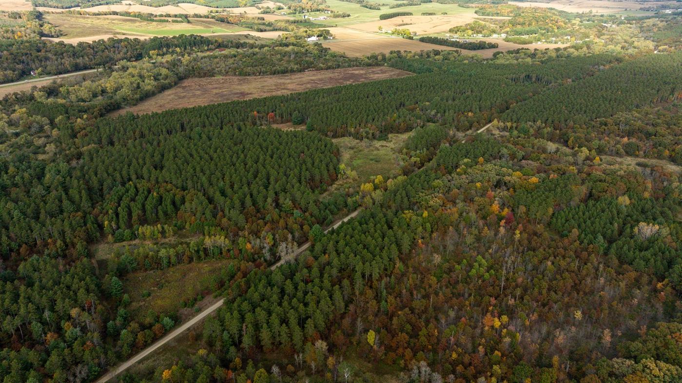DJI_20261008155525_0497_D.jpg