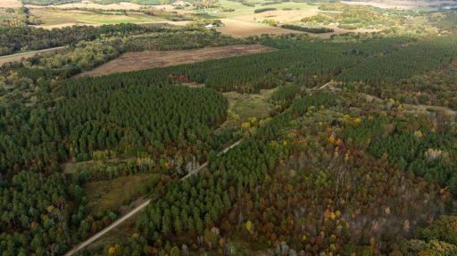 TBD E Prairie Road, Osseo, WI 54758