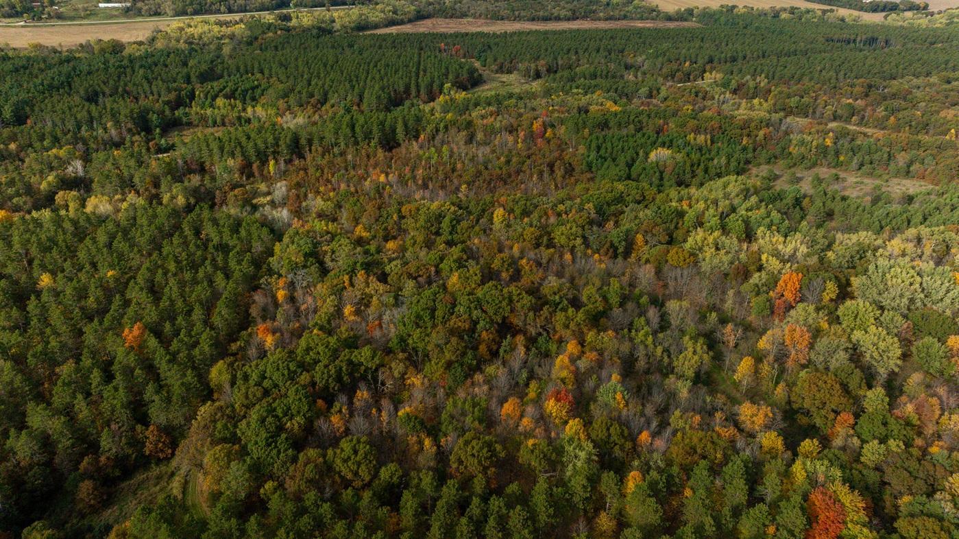 DJI_20261008160457_0519_D.jpg