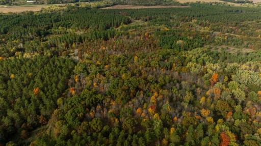 TBD E Prairie Road, Osseo, WI 54758