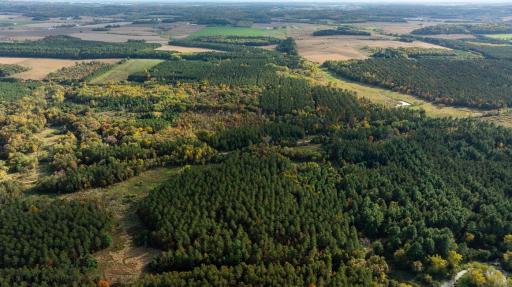 TBD E Prairie Road, Osseo, WI 54758