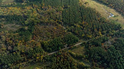 TBD E Prairie Road, Osseo, WI 54758