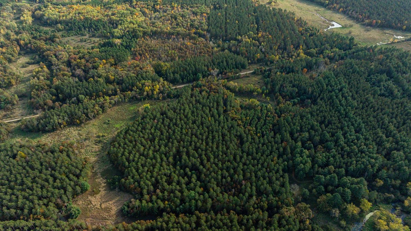 DJI_20261008155909_0504_D.jpg