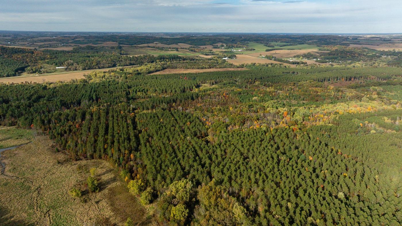 DJI_20261008160334_0515_D.jpg