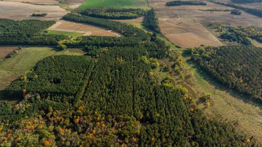 TBD E Prairie Road, Osseo, WI 54758