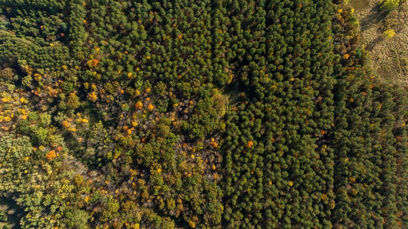 DJI_20261008160105_0510_D.jpg