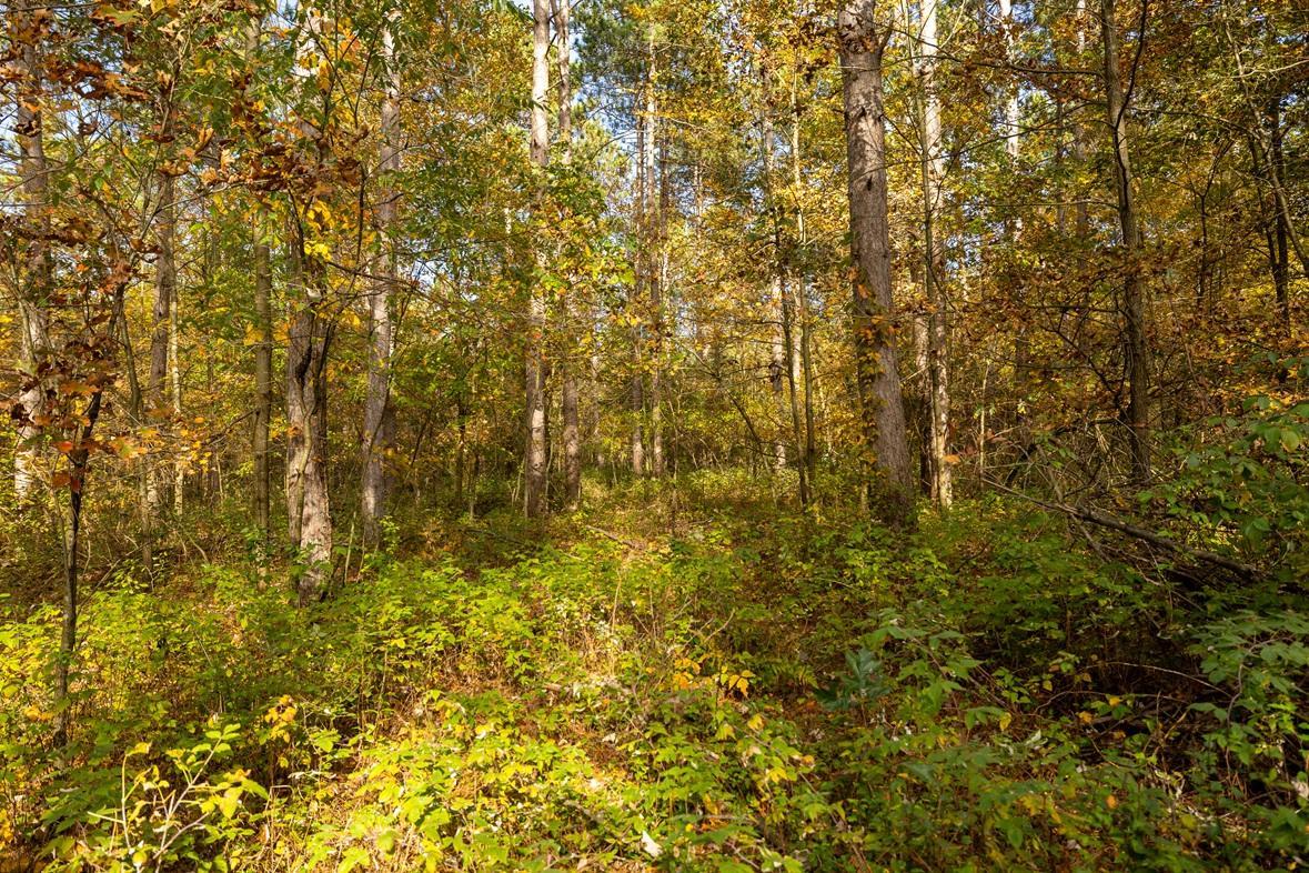 S38A0936.jpg