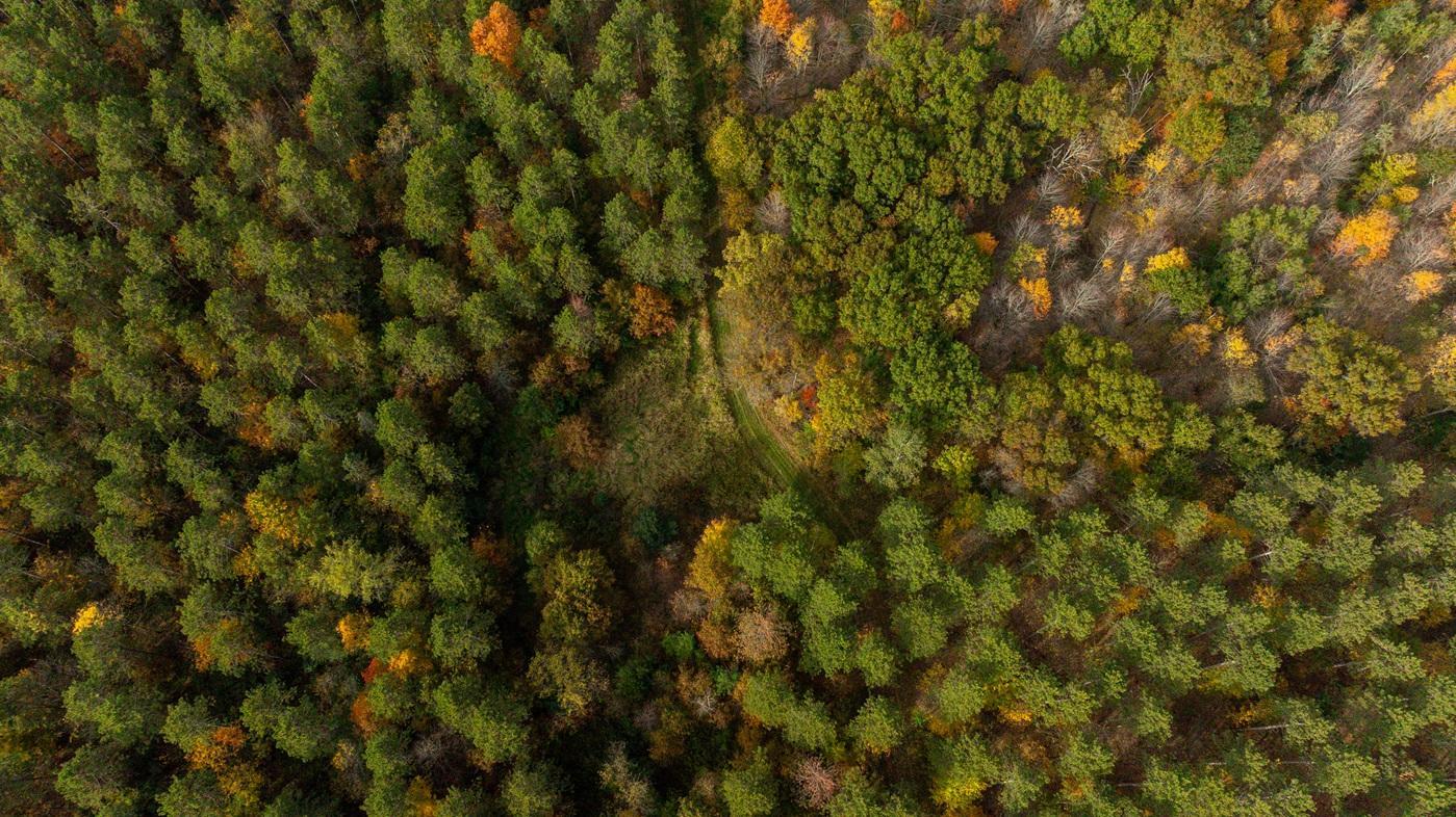 DJI_20261008160513_0520_D.jpg