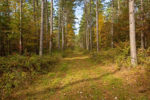 TBD E Prairie Road, Osseo, WI 54758