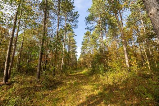 TBD E Prairie Road, Osseo, WI 54758