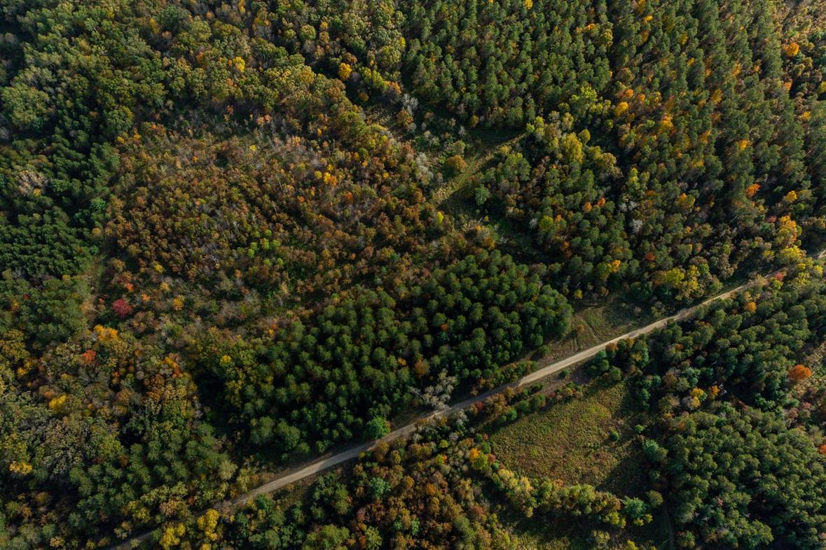 DJI_20261008160020_0508_D.jpg