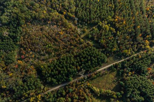 TBD E Prairie Road, Osseo, WI 54758