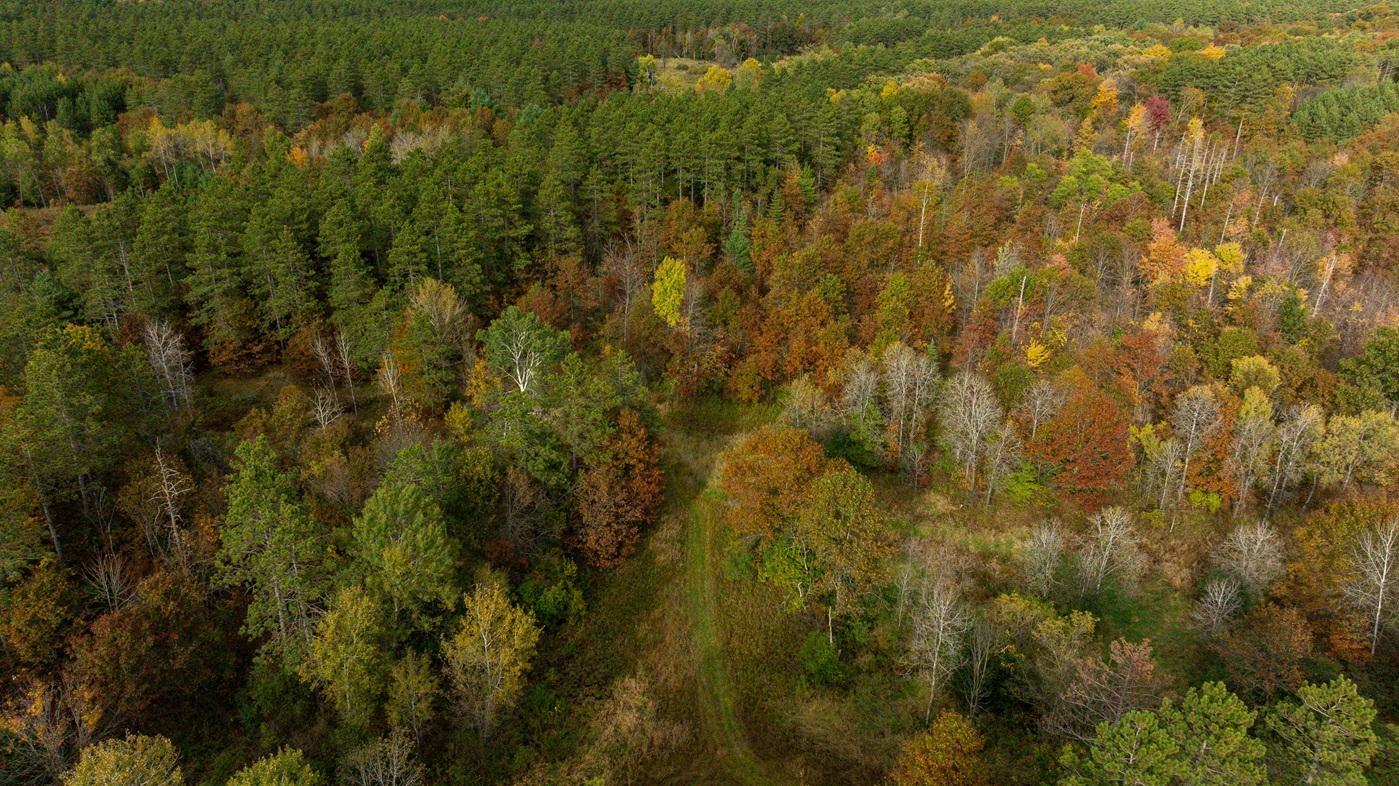 DJI_20261008160548_0522_D.jpg