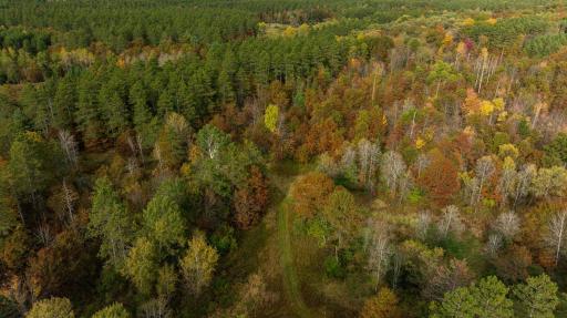 TBD E Prairie Road, Osseo, WI 54758