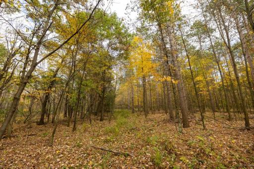TBD E Prairie Road, Osseo, WI 54758