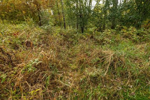 TBD E Prairie Road, Osseo, WI 54758