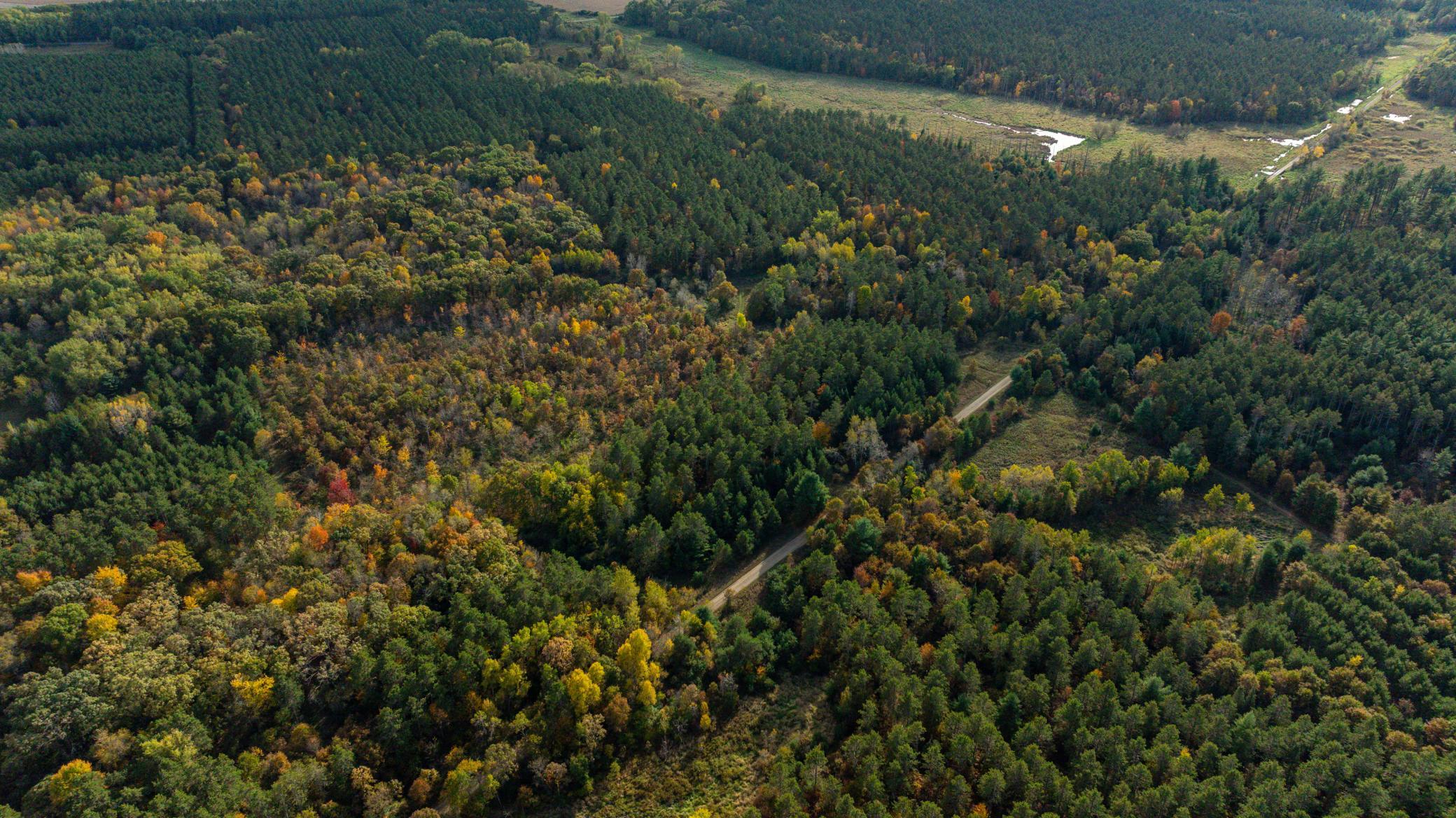 DJI_20261008155734_0501_D.jpg