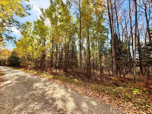 TBD County Road 303, Deer River, MN 56636