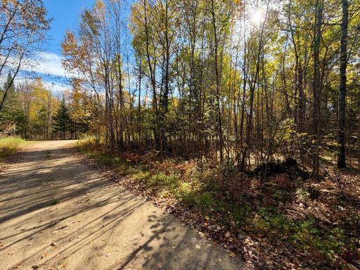 TBD County Road 303, Deer River, MN 56636