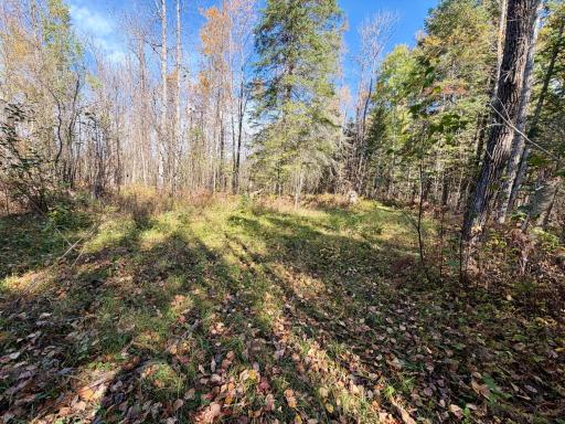 TBD County Road 303, Deer River, MN 56636