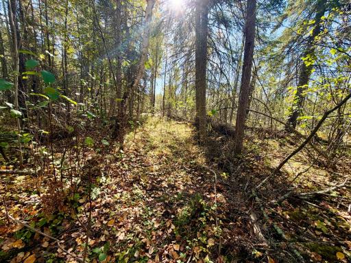 TBD County Road 303, Deer River, MN 56636