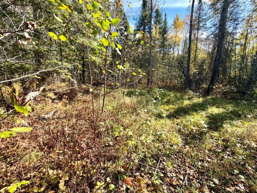 TBD County Road 303, Deer River, MN 56636