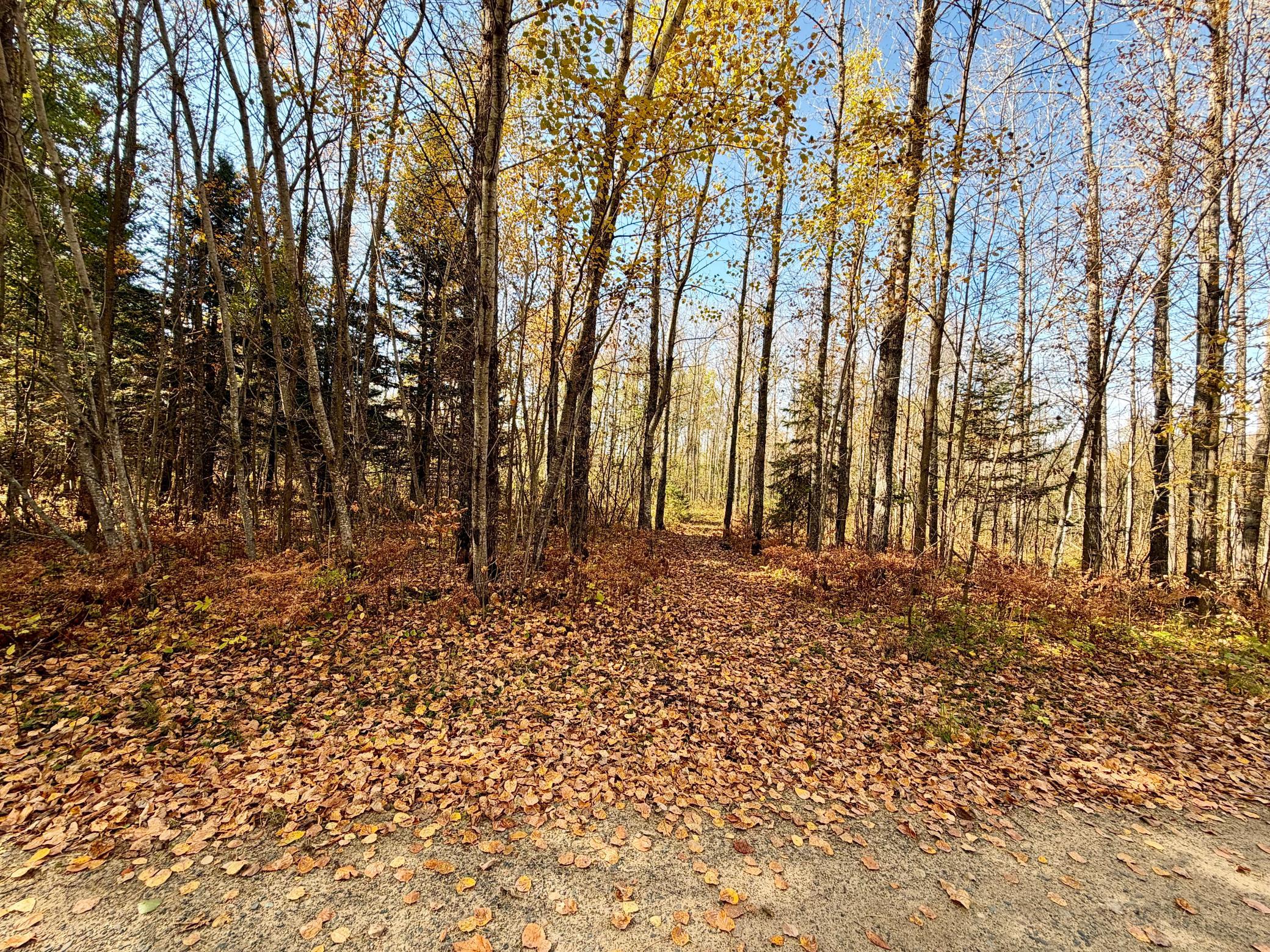 Property photo for TBD County Road 303, Deer River, MN 56636