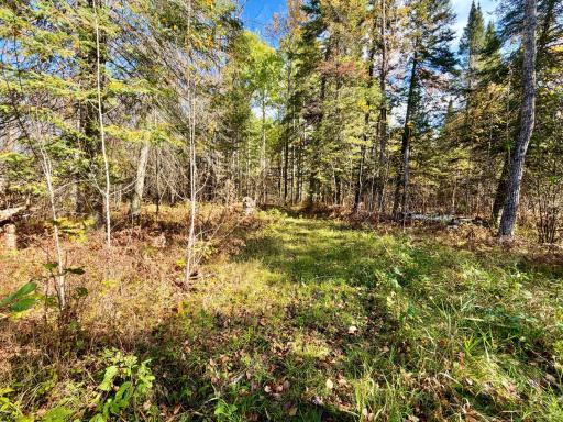 TBD County Road 303, Deer River, MN 56636