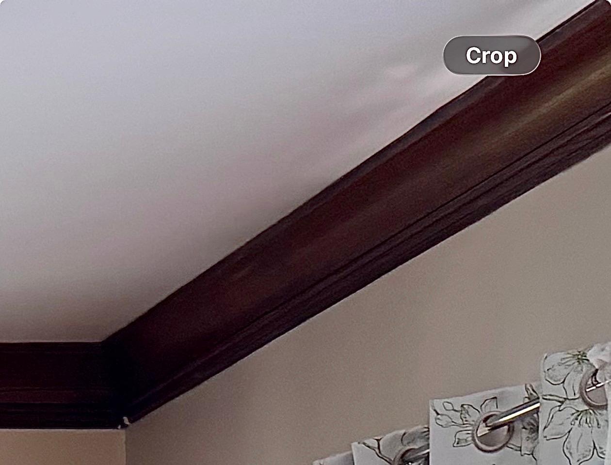 Impressive original Crown Molding