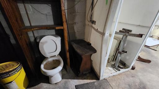 Toilet in basement, shower area, unsure of status of either