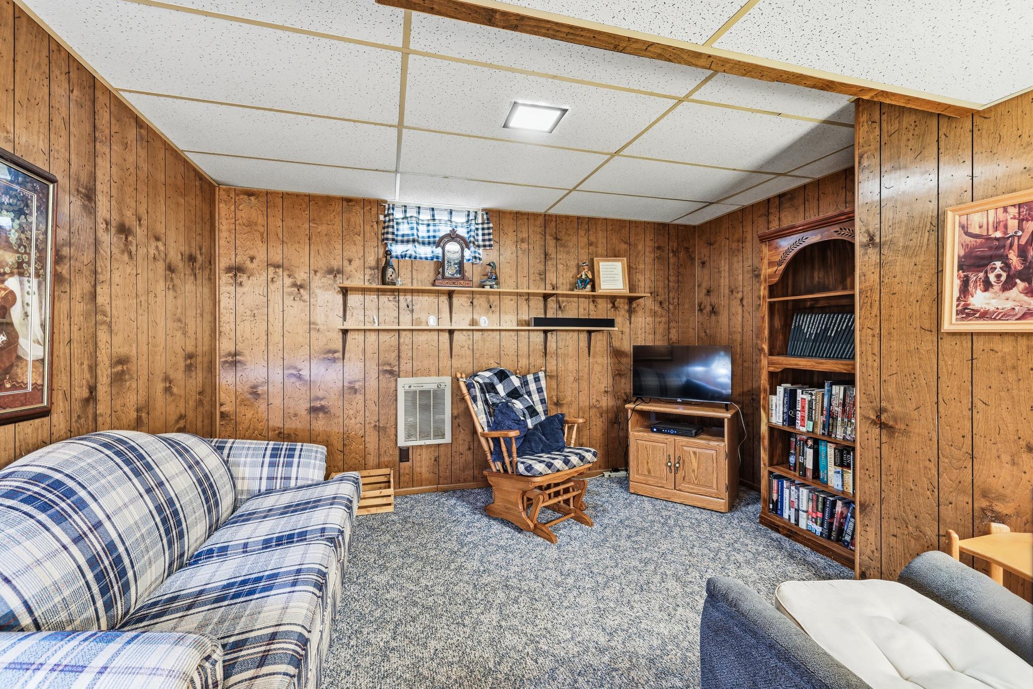 Lower level family room area