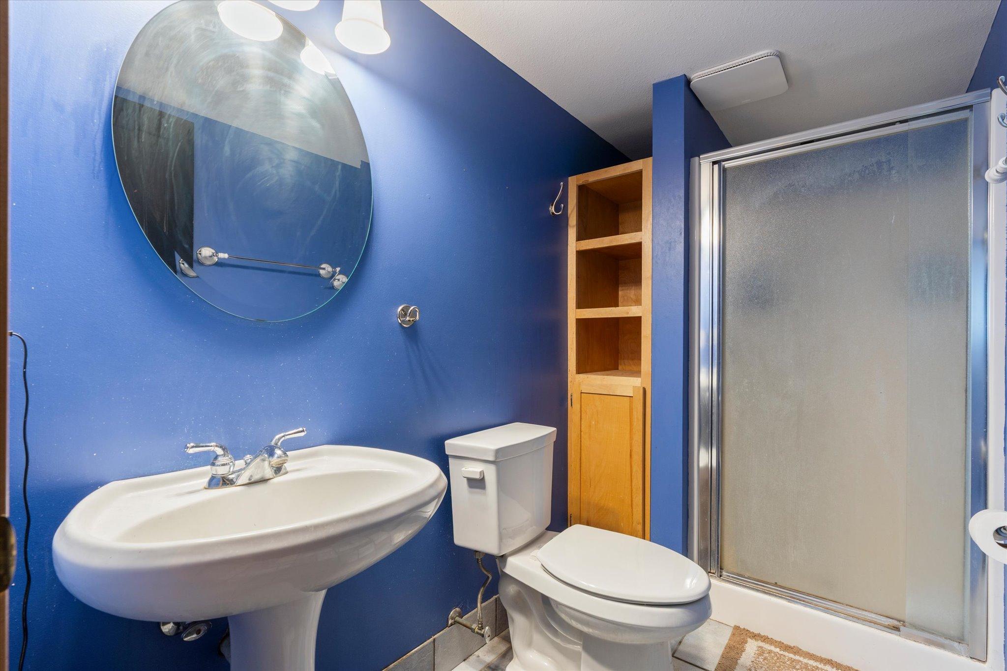 Lower Level Bathroom