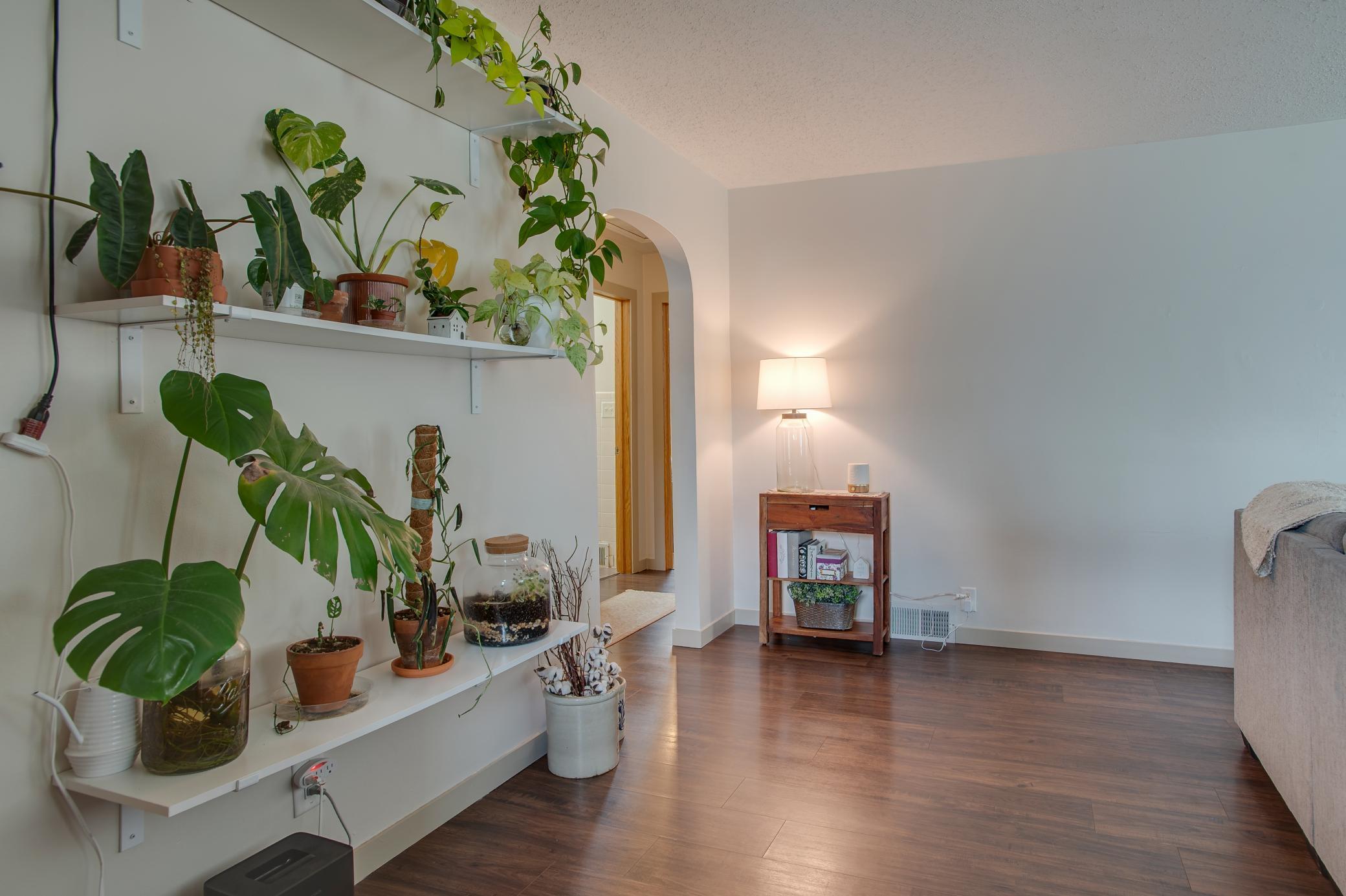 Living Room.jpg