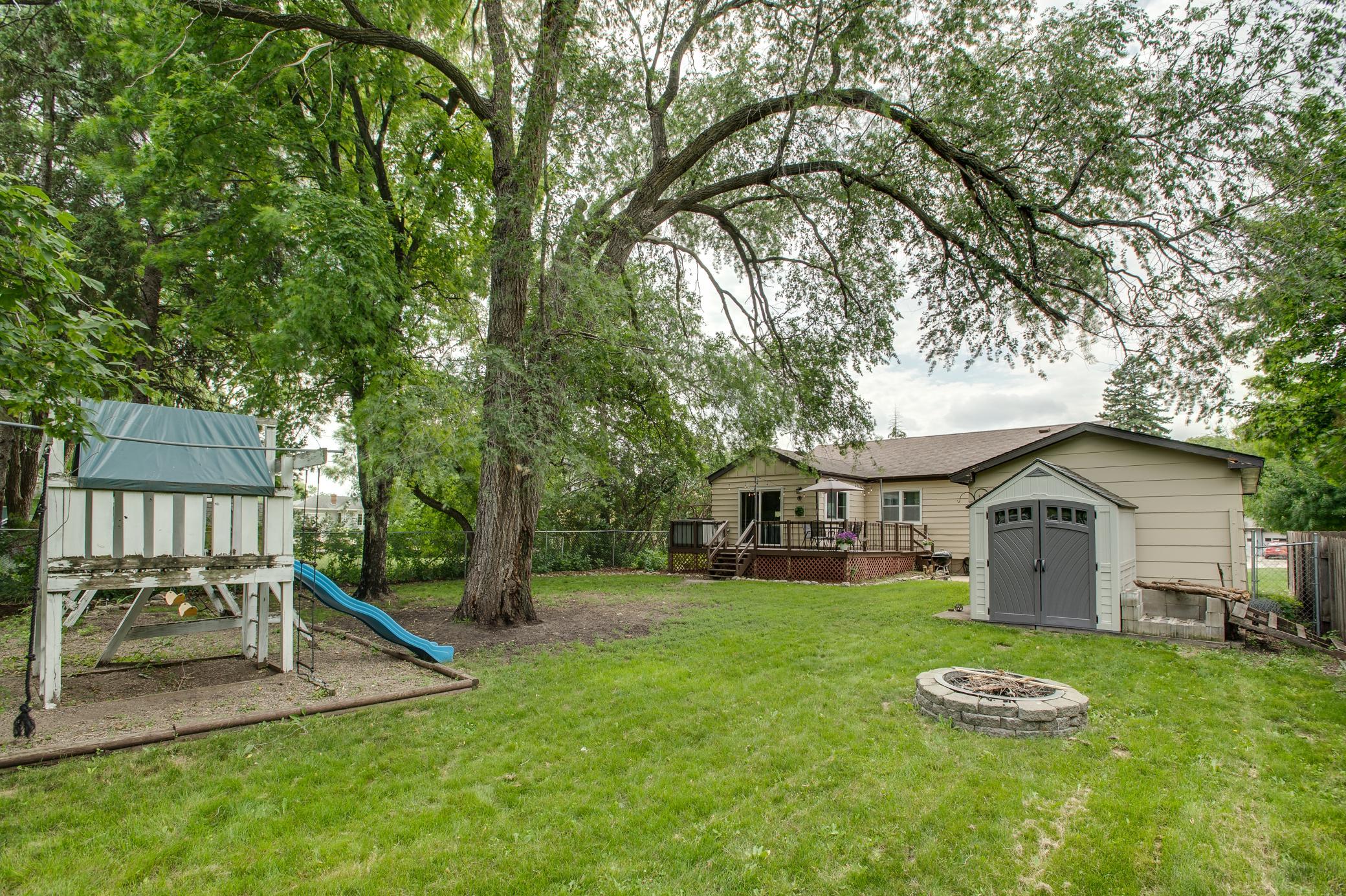 Backyard 3.jpg