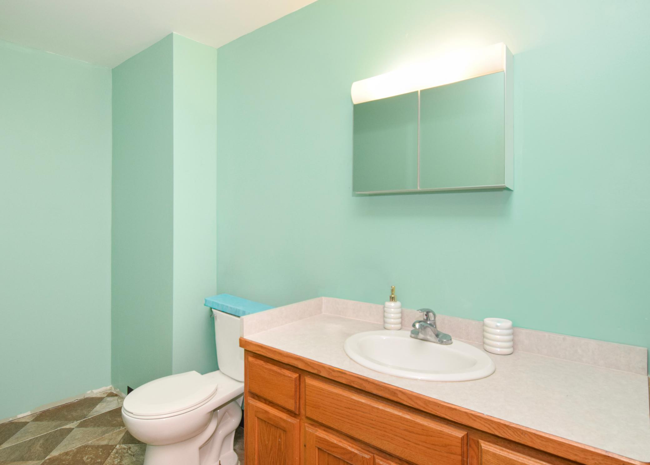 Half Bath - Lower Level.jpg