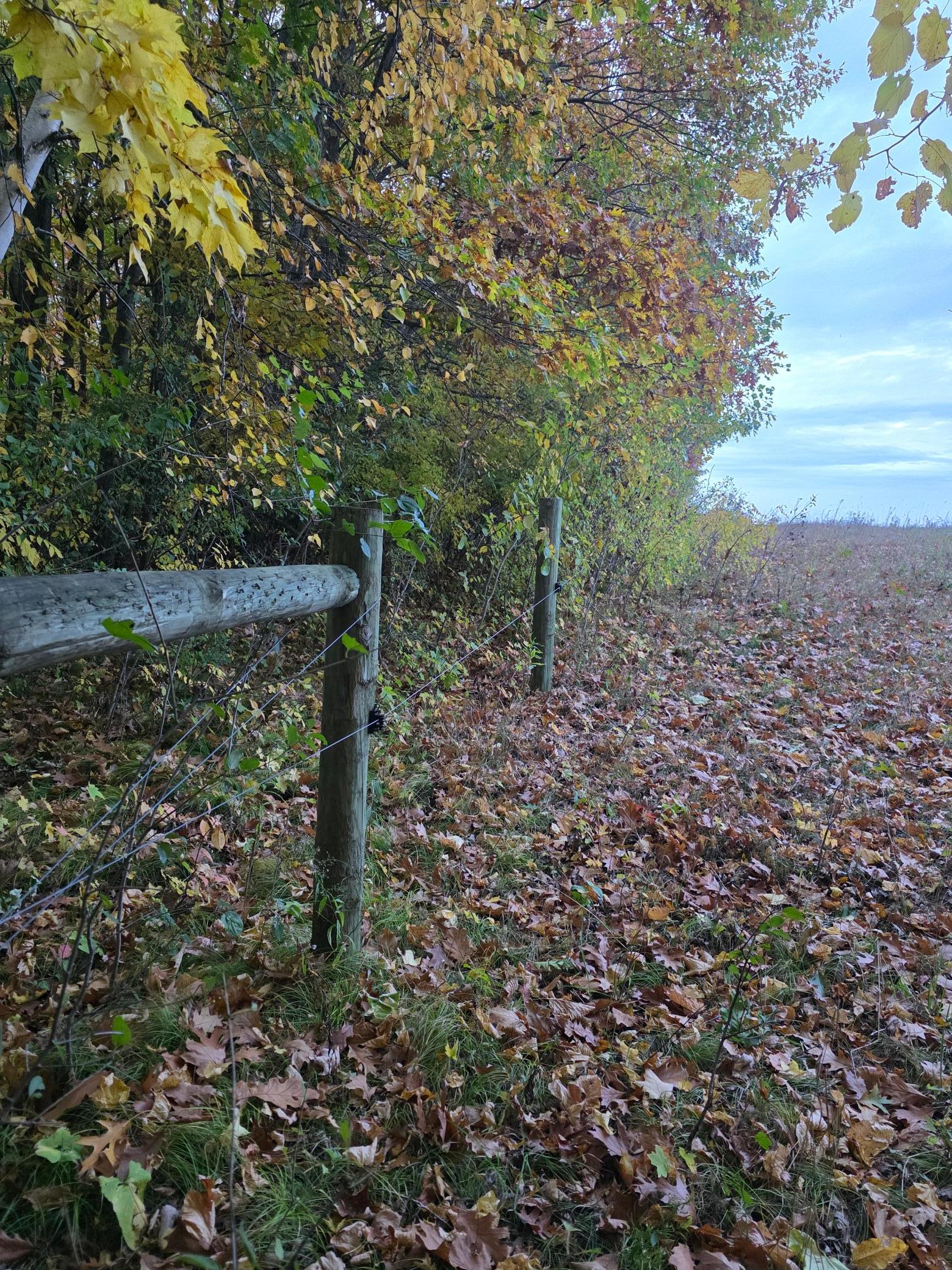 Fencing around the entire perimeter.