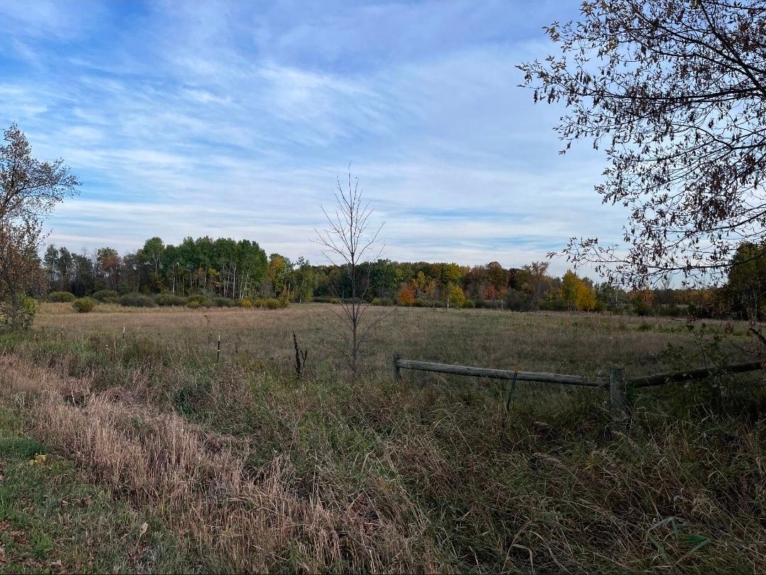Looking from the road to the east pasture