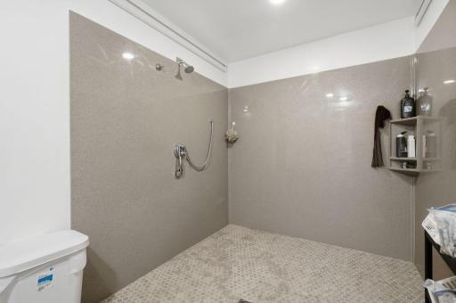 3rd bathroom off flex room with roll in shower