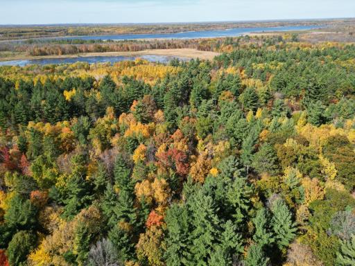 XXXX County Road 19, Merrifield, MN 56465